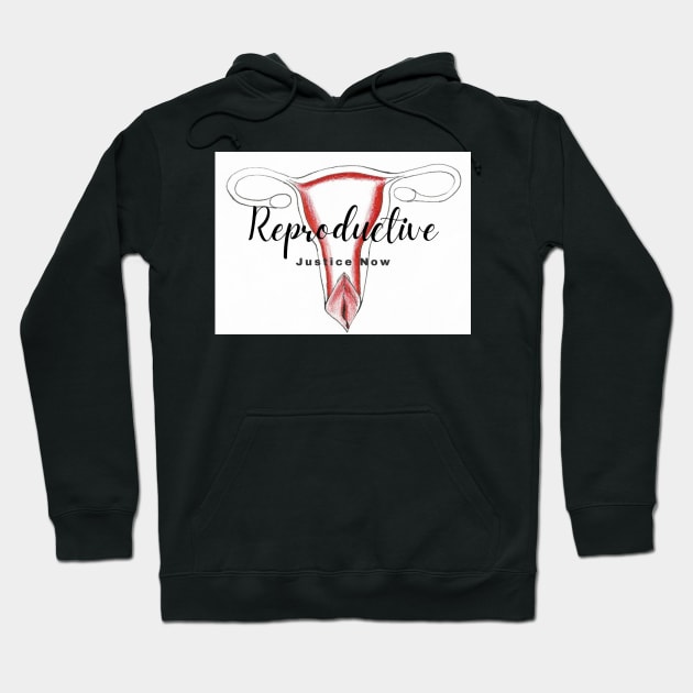 Reproductive Justice Now Hoodie by Ceconner92